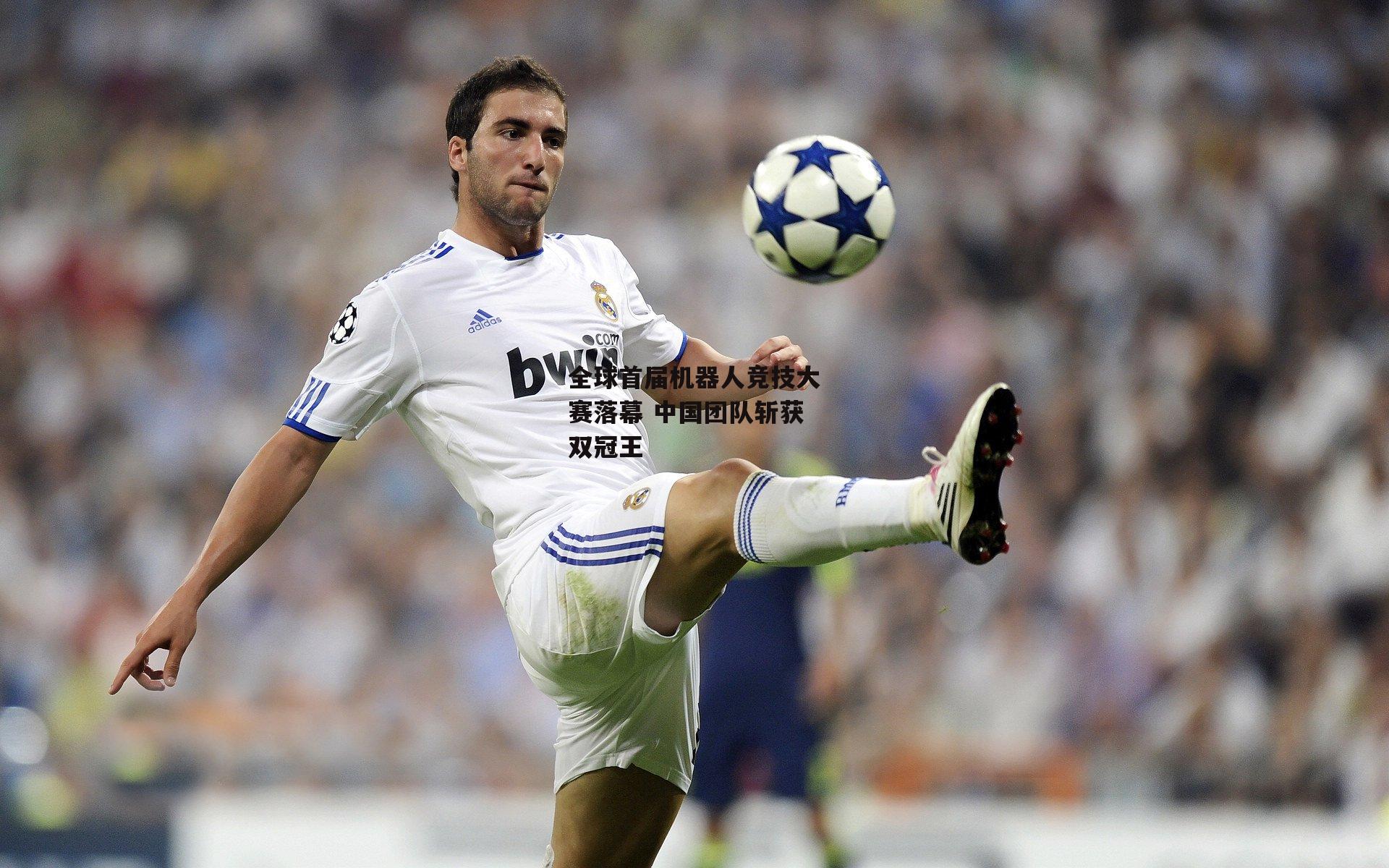 全球首届机器人竞技大赛落幕 中国团队斩获双冠王