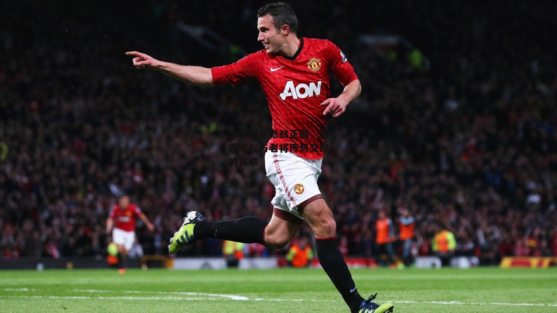 冰球联赛激战正酣,新秀崛起与老将传奇交织的赛季