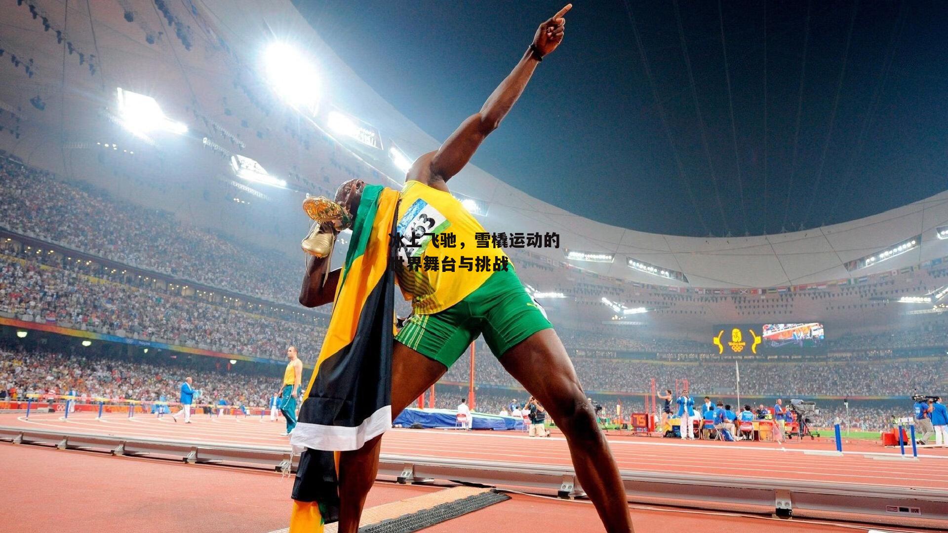冰上飞驰，雪橇运动的世界舞台与挑战