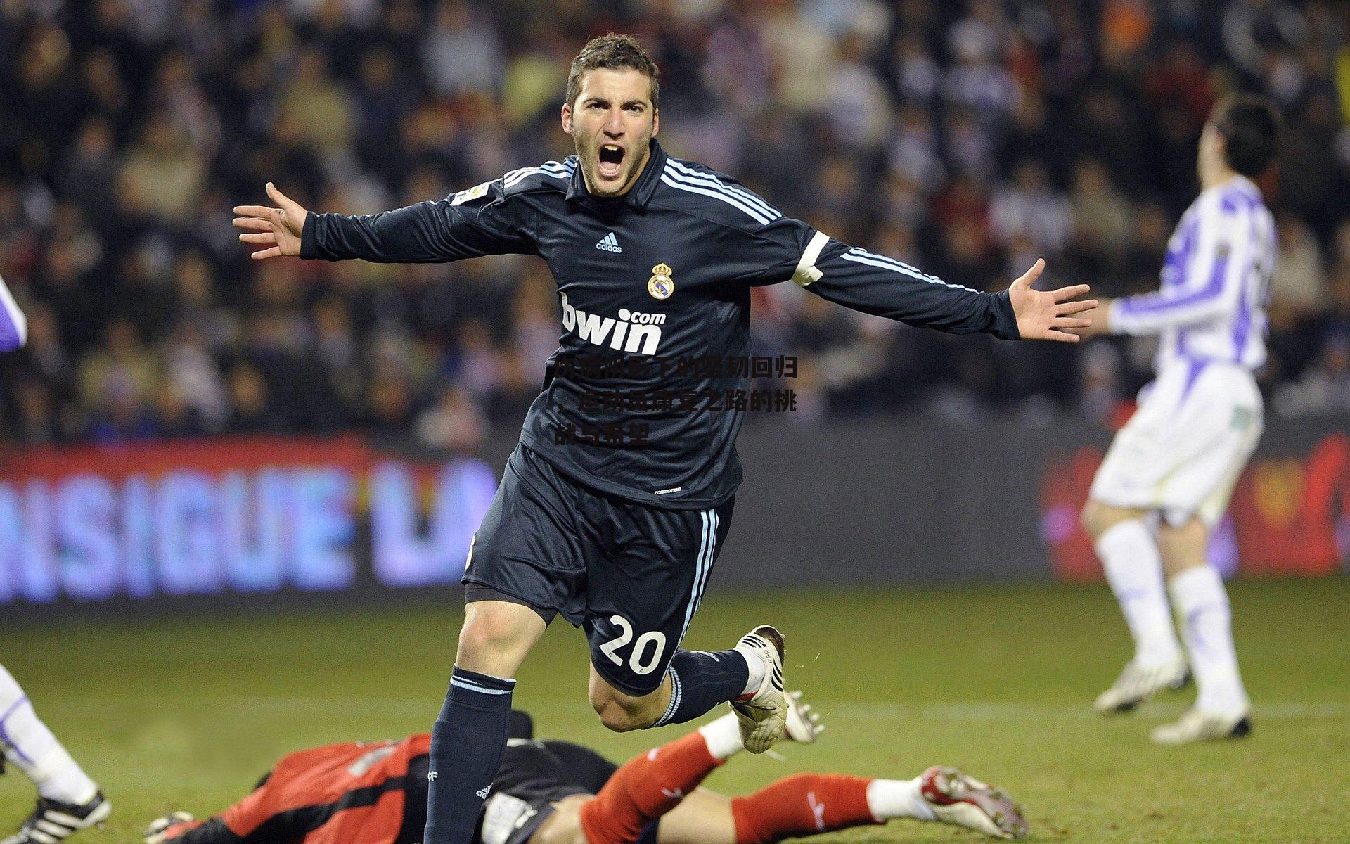 伤病阴影下的坚韧回归，运动员康复之路的挑战与希望